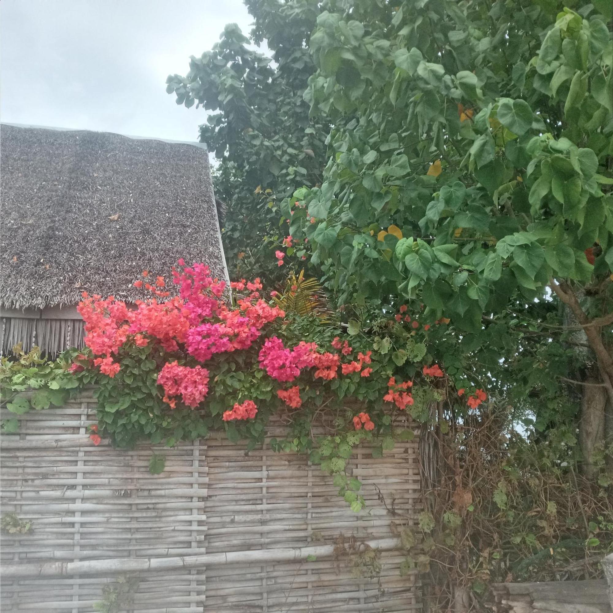 Sunset Moyo Bungalows Moyo Island Exterior photo