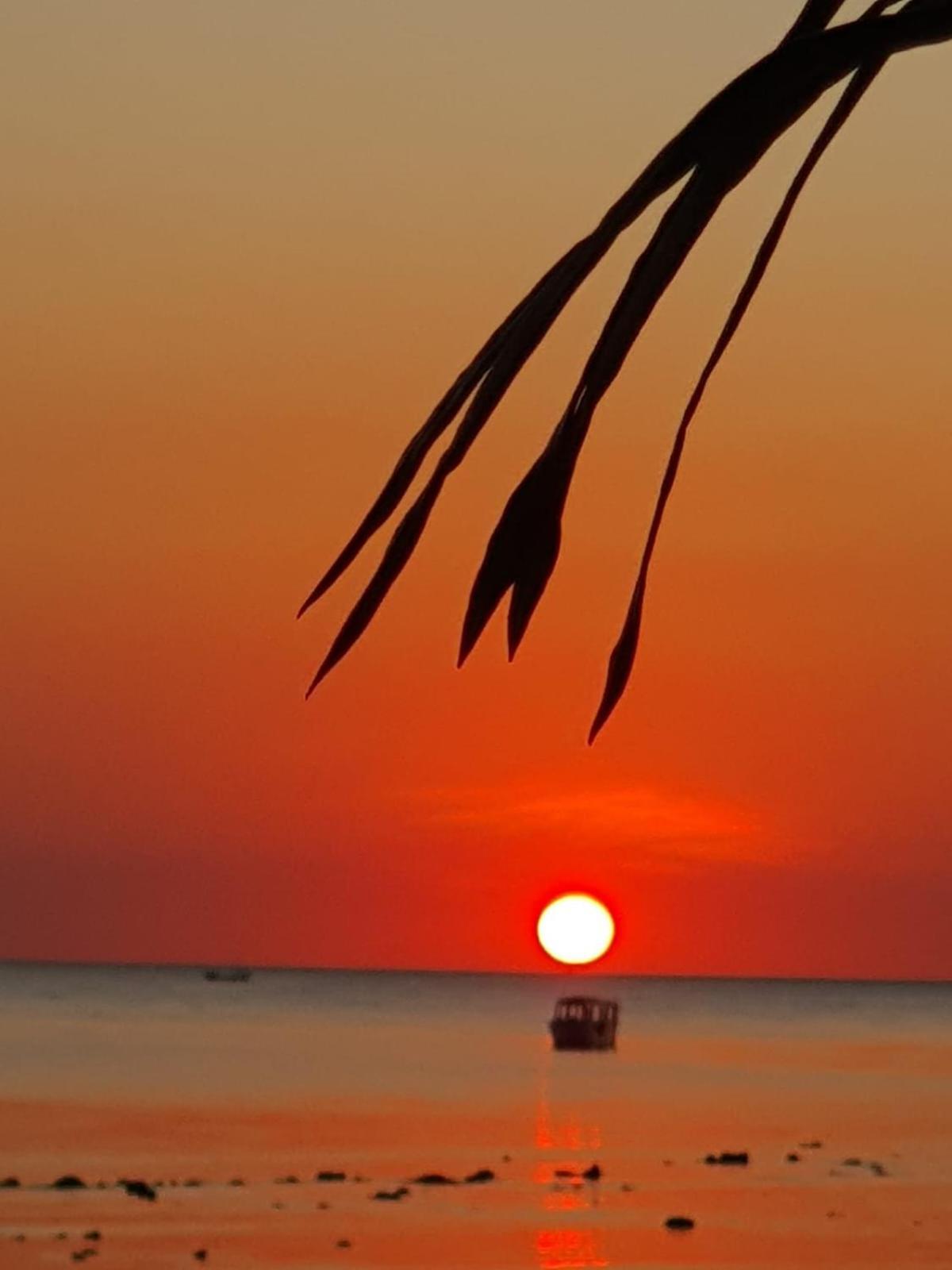 Sunset Moyo Bungalows Moyo Island Exterior photo